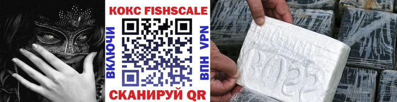 купить закладку  Домодедово  мега ТОР  COCAIN Эквадор 