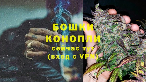 ГАЛЛЮЦИНОГЕННЫЕ ГРИБЫ Нязепетровск