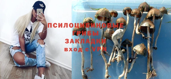 герыч Новодвинск