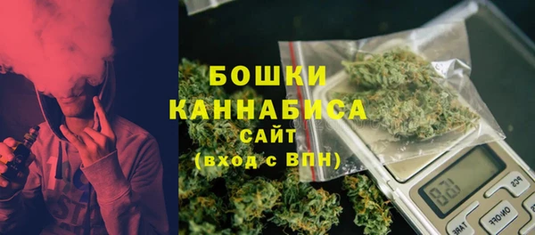 ГАЛЛЮЦИНОГЕННЫЕ ГРИБЫ Нязепетровск