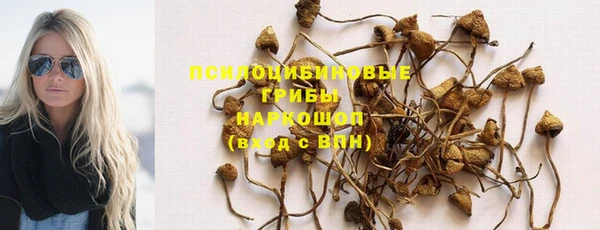 прущая мука Новозыбков