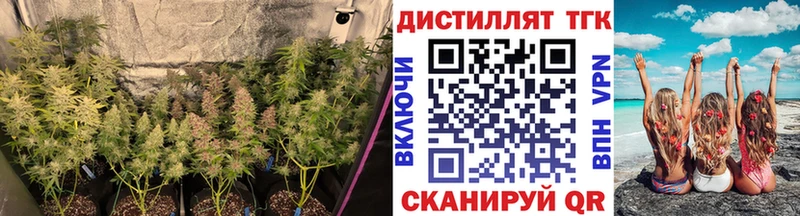 дарнет шоп  Домодедово  Дистиллят ТГК концентрат 