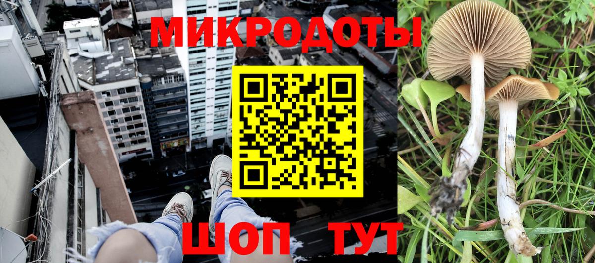 Домодедово  цена   Вход с VPN  Галлюциногенные грибы Cubensis 