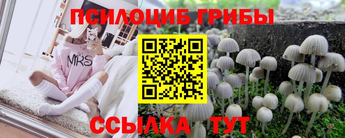 Псилоцибиновые грибы мухоморы Домодедово